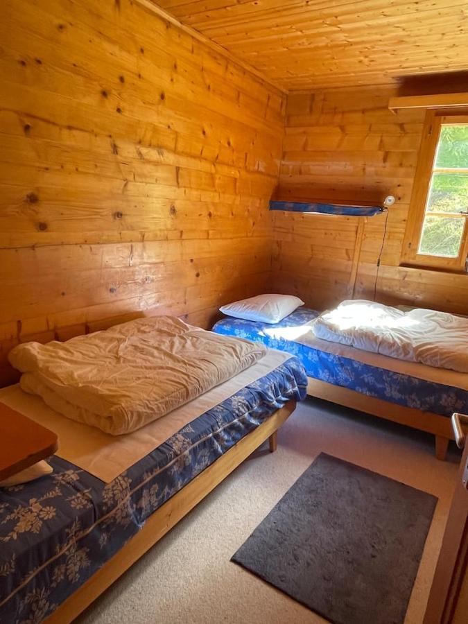Chalet Singlinaz Zinal Buitenkant foto